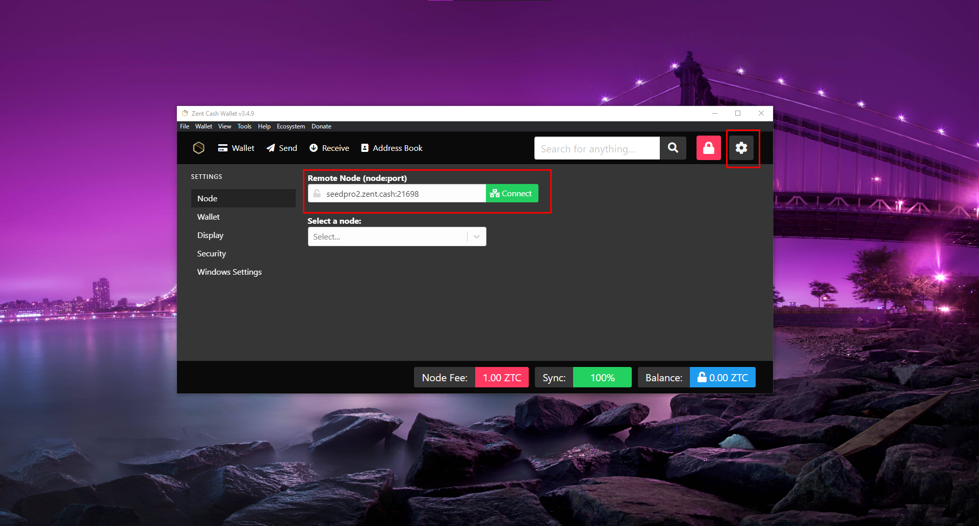 Zent Cash Remote Node
